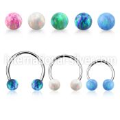 cbeop4ss surgical steel circular barbells ear othersear lobe ear otherseyebrow helix nose septum piercing