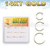 dg14nh3 nose hoop gold nose