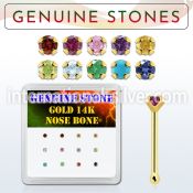 dgnb8 nose bone gold nose