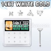 dwnb13 gold nose bones nose piercing