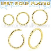 gpsegh16 18 k gold plating silver hinged segment hoop 16g