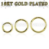 gpsel16 seamless segment rings silver 925 eyebrow