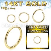 gsegh16 14k yellow gold hinged segment ring