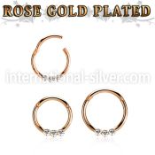 seghr16e anodized surgical steel seamless and segment rings ear lobe ear otherseyebrow helix intim septum piercing