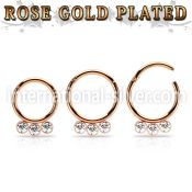 seghr16f anodized surgical steel seamless and segment rings ear othersear lobe ear otherseyebrow helix intim septum piercing