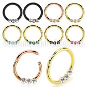 seght16e anodized surgical steel seamless and segment rings ear othersear lobe ear otherseyebrow helix intim septum piercing