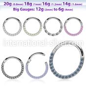 sgsh11 surgical steel segment ring cz stones at side