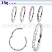 sgshs10 steel hinged segment hoop 18g cnc pave set cz