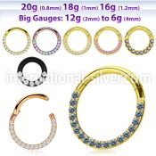 sgtsh11 anodized surgical steel segment ring cz stones side