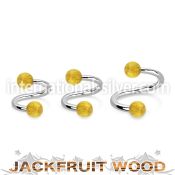 spjf5 spirals twisters organic body jewelry eyebrow