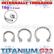 ucbeb25i titanium internal horseshoe balls