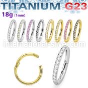 usgshs106 titanium hinged segment hoop 18g outward facing cz