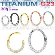 usgshss11 titanium hinged segment hoop side cnc cz