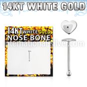 wbht1 nose bone gold nose