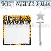 wbst1 nose bone gold nose