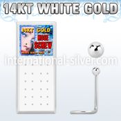 wgscb l shape nose studs gold nose