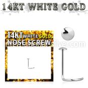 wsrd l shape nose studs gold nose