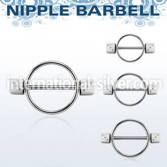 dinpe5 straight barbells surgical steel 316l nipple