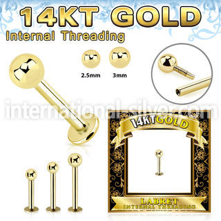 glbbi 14 karat yellow gold labret stud 16g ball top internal