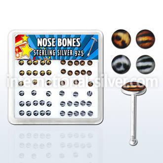 nblgx6 nose bone silver 925 nose