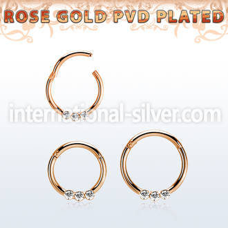 seghr16e anodized surgical steel seamless and segment rings ear lobe ear otherseyebrow helix intim septum piercing