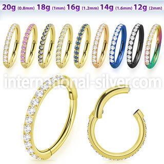 sgtsh10 anodized surgical steel segment ring cz stones