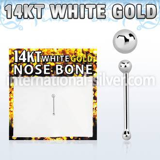 wnbb1 nose bone gold nose