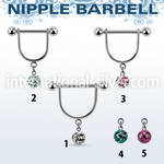 cfrsnp6 straight barbells surgical steel 316l nipple