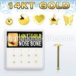 dgnb16 box w 14kt gold nose bones w mixed plain tops