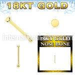 ggbrd1 18 karat yellow gold nose bone 22g plain gold top