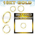 ggsegh16 18 karat yellow gold hinged segment hoop 16g