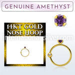 ghge1 nose hoop gold nose