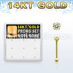 gnb2x box w 14kt gold nose bone 20g w 1.5mm set clear cz 