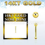 gnbb1b 14kt gold nose bone, 20g w a 1.5mm ball shaped top