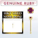 gnbge5 nose bone gold nose