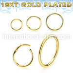 gpsegh18 18k gold plated silver hinged segment hoop 18g