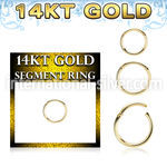 gsegh18 14 karat yellow gold hinged segment hoop 18g