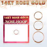 r14end nose hoop gold nose