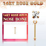 rnbqc1 nose bone gold nose