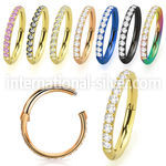 sgtsh10 anodized surgical steel segment ring cz stones