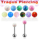 trgop3xs surgical steel barbells tragus piercing