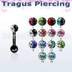 trgt7e straight barbells anodized surgical steel 316l tragus