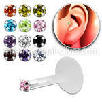 trgz8 labrets lip rings bioflex ptfe tragus