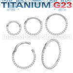usgsh41 titanium hinged segment hoop 16g pyramids side