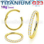 usgshs10t pvd titanium hinged segment hoop 18g outward cz