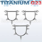 usnpa straight barbells titanium g23 implant grade nipple