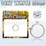whz15 nose hoop gold nose
