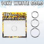 wsel16 seamless segment rings gold nose